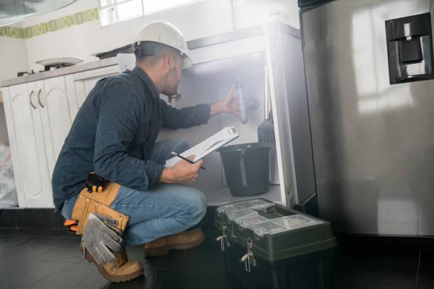 Best Plumbing Inspection Services  in Polk City, FL