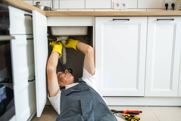Best Local Plumber Services  in Polk City, FL
